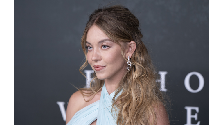 "Echo Valley" European Premiere - Arrivals