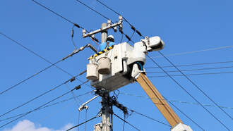 Lineman Saves Persistent Bear From Utility Pole