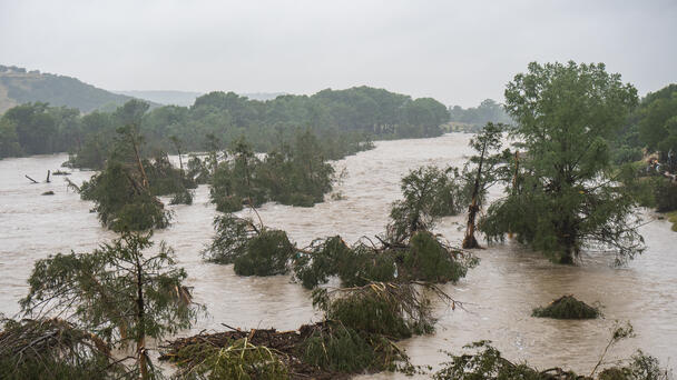Kerr County Flood Relief: Support for Families in Crisis