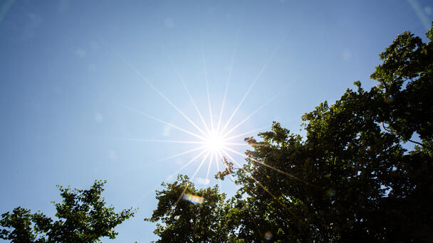 San Diegans Set To 'Embrace The Heat'