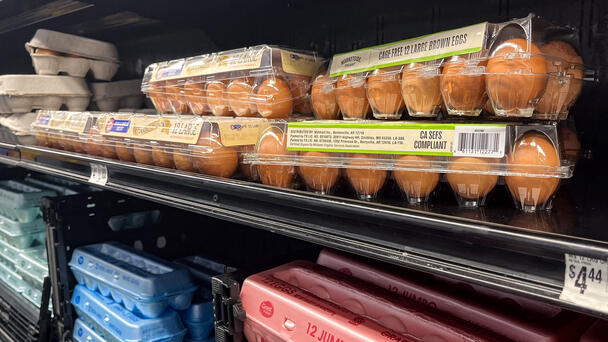 Trump Administration Files Lawsuit Blaming California For High Egg Prices