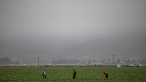 Tear Gas Used in Ventura County Immigration Raid Protest