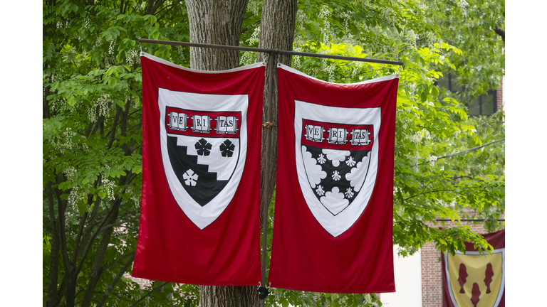 US-EDUCATION-HARVARD-GRADUATION