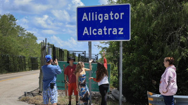 Miami-Dade Young Democrats Want Mayor To Sue State Over Alligator Alcatraz
