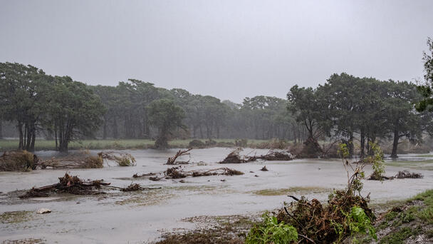 Texas Gets Even More Rain As Search For Victims In Deadly Floods Continues