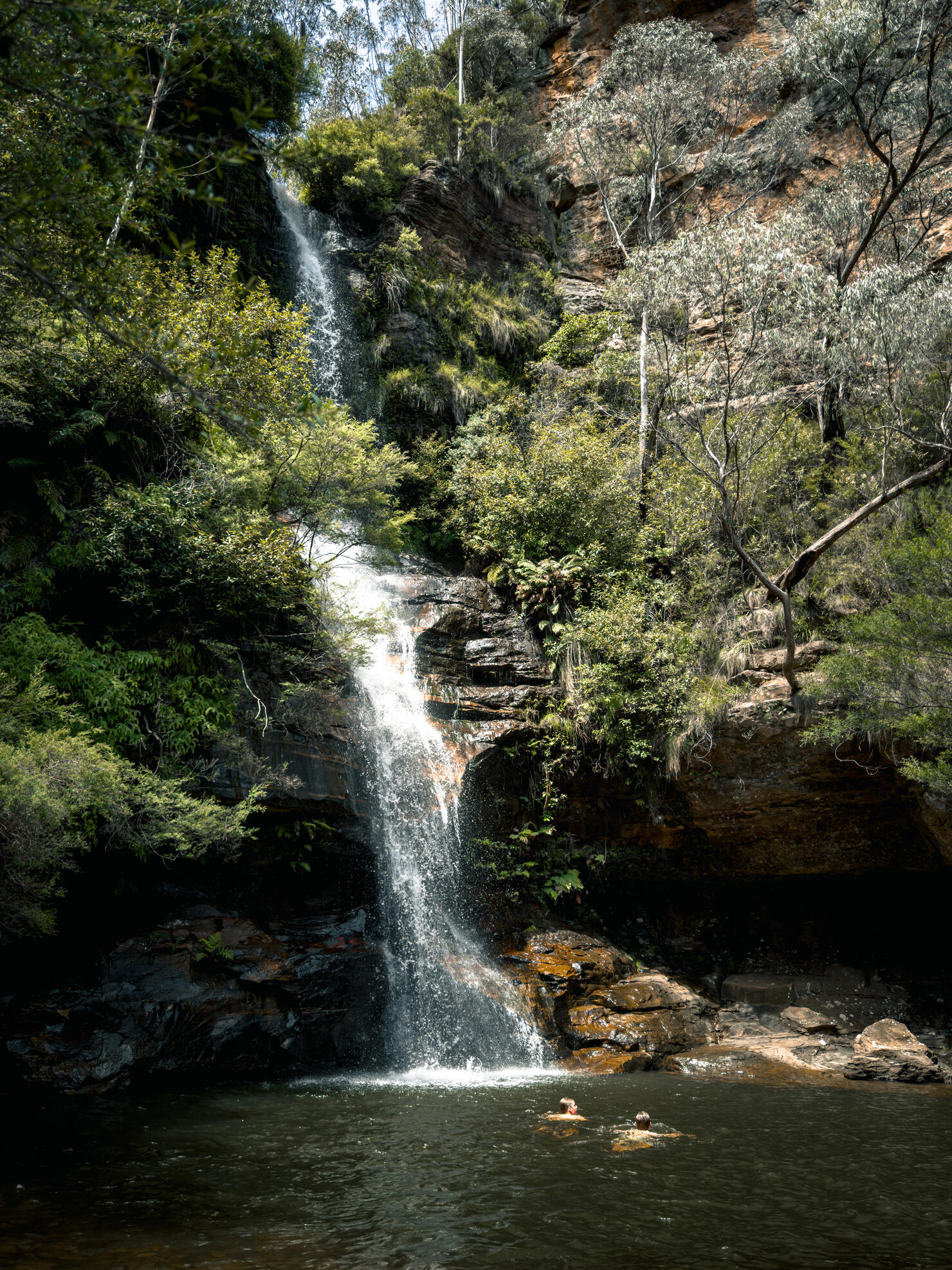 The serene Blue Mountains and Majestic Waterfalls. Nature's Symphony. NSW. Australia. Wentworth Falls. Minnehaha falls. Three sisters.