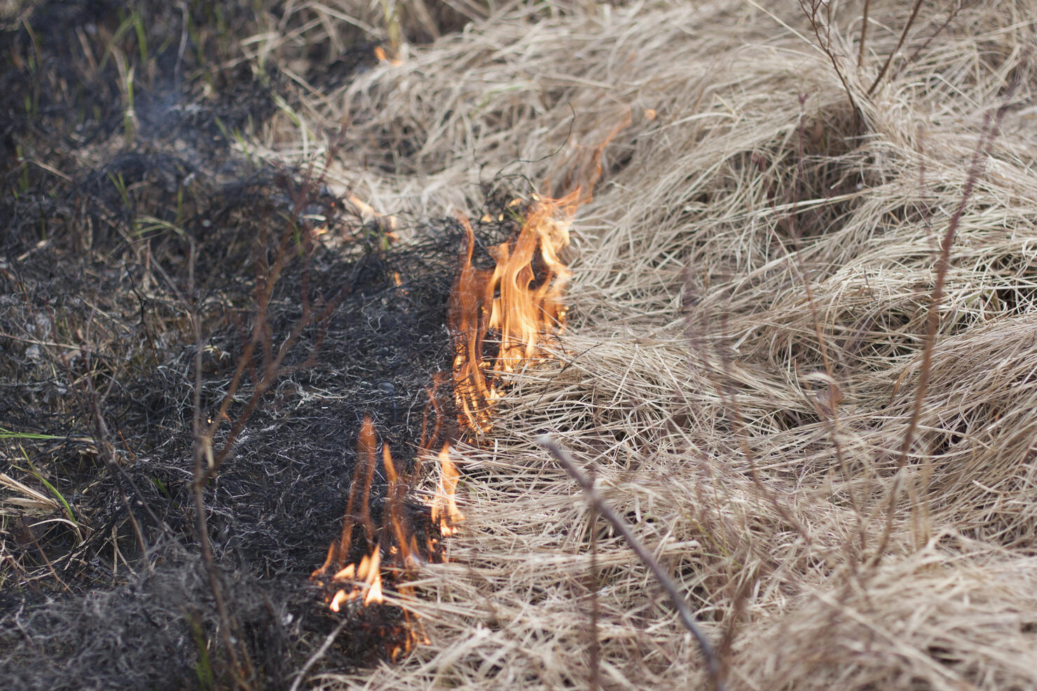 High angle view of burning dry grass
