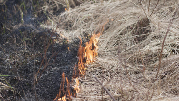 Bystanders Confront, Detain Man Who Started Brushfire In California