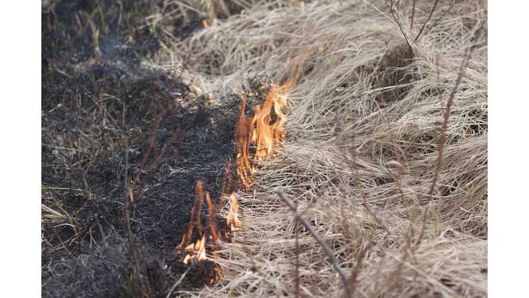 High angle view of burning dry grass
