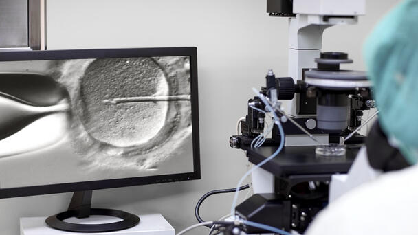 Babies Born Using DNA From Three People To Prevent Inherited Diseases