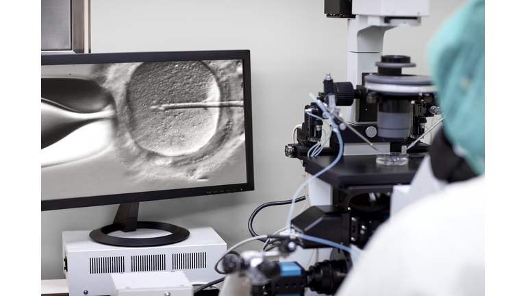 Laboratroy technician fertilizing an egg