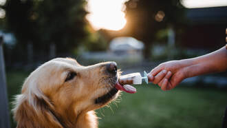 Sunday Is National Ice Cream Day!