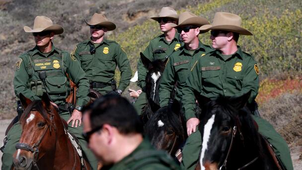 Border Patrol Horses Ride Again In San Diego