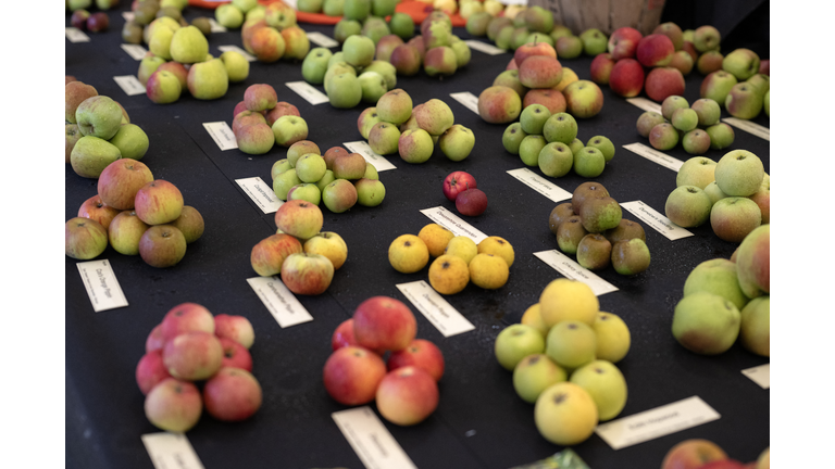 BRITAIN-HORTICULTURE-SHOW