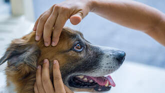 Happy Everybody Deserves a Massage Week!