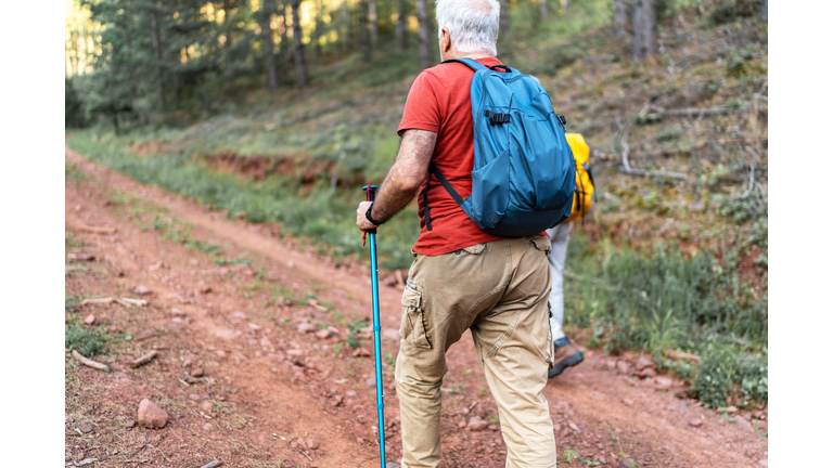 Active senior couple with backpacks hiking together in nature