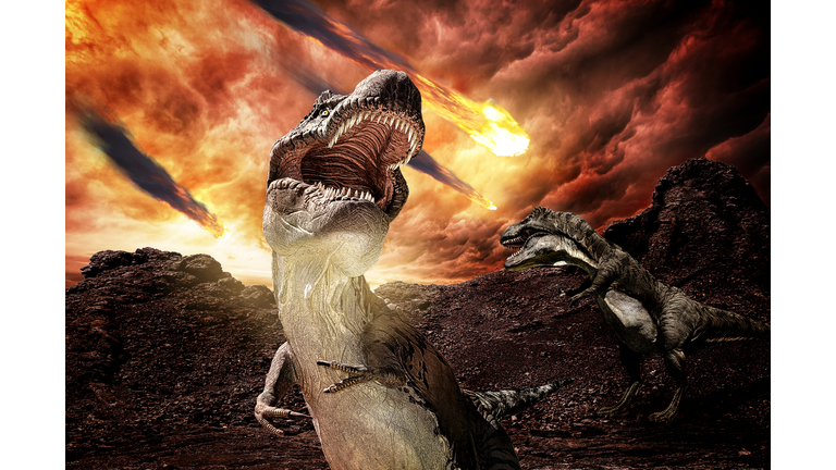 Extinctions & Climate Change