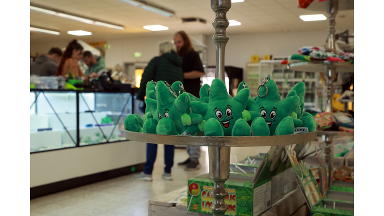 Cannabis Social Clubs Gear Up Following Legalization