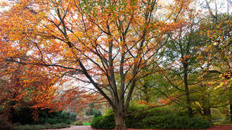 Old Farmer's Almanac Releases 2025 Fall Weather Predictions