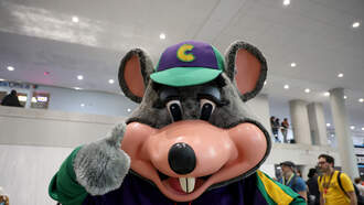 Florida Chuck E. Cheese employee arrested in his mouse suit