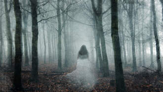 Darcy Staniforth Talks Mysteries Decoded