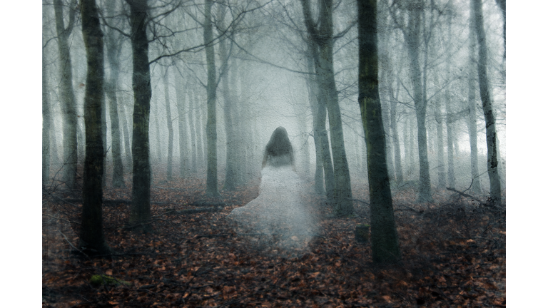 Exploring the Afterlife / Open Lines