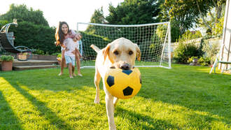 Happy National Soccer Day!