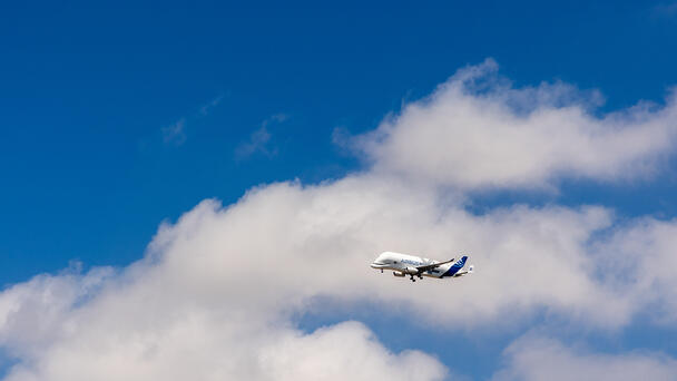 Man Who Tried To Open Plane Door Mid Flight Sentenced