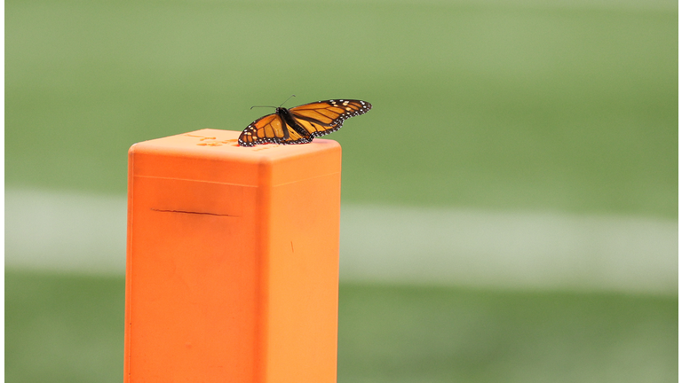 Tennessee Titans v Indianapolis Colts