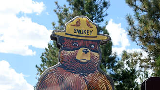 Smokey Bear Makes An Arrest