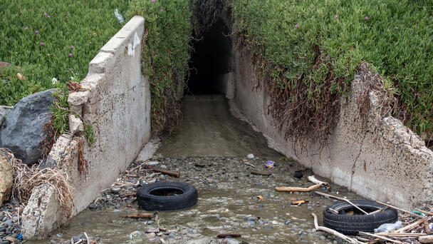 Sewage Impacting Mental Health In South Bay