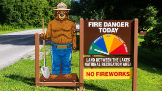 Shock Collar Question (11/14/25)