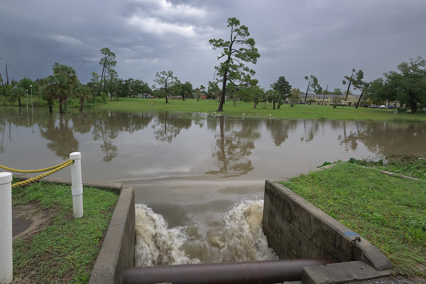 Floodwaters rush through a drain culvert, carrying fresh rainwater to the saltwater bay, creating a dynamic interplay of currents.