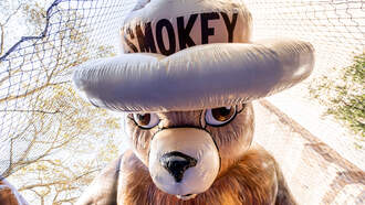 What The Dumb Of The Day: Selling #SmokeyTheBear Goodies & HE Arrests YOU😁