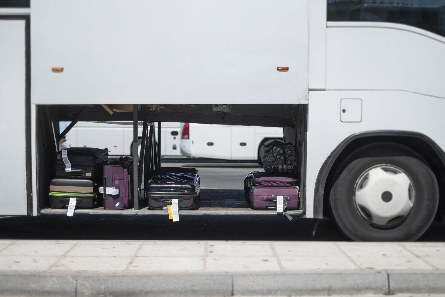 Passenger Buses Waiting for Luggages.