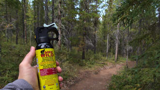 National News - Masked Man Unleashes Bear Spray Inside New York City Subway Train
