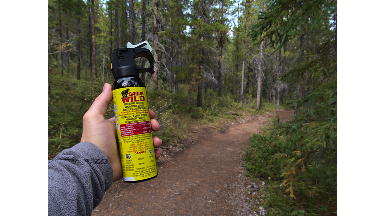 Hiker holding bear spray (Sabre Wild brand) used as bear attack deterrent in forest near Canmore, Canada with hiking trail in background. Focus on can.