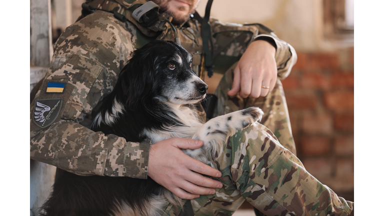 Ukrainian soldier sitting with stray dog in abandoned building, closeup
