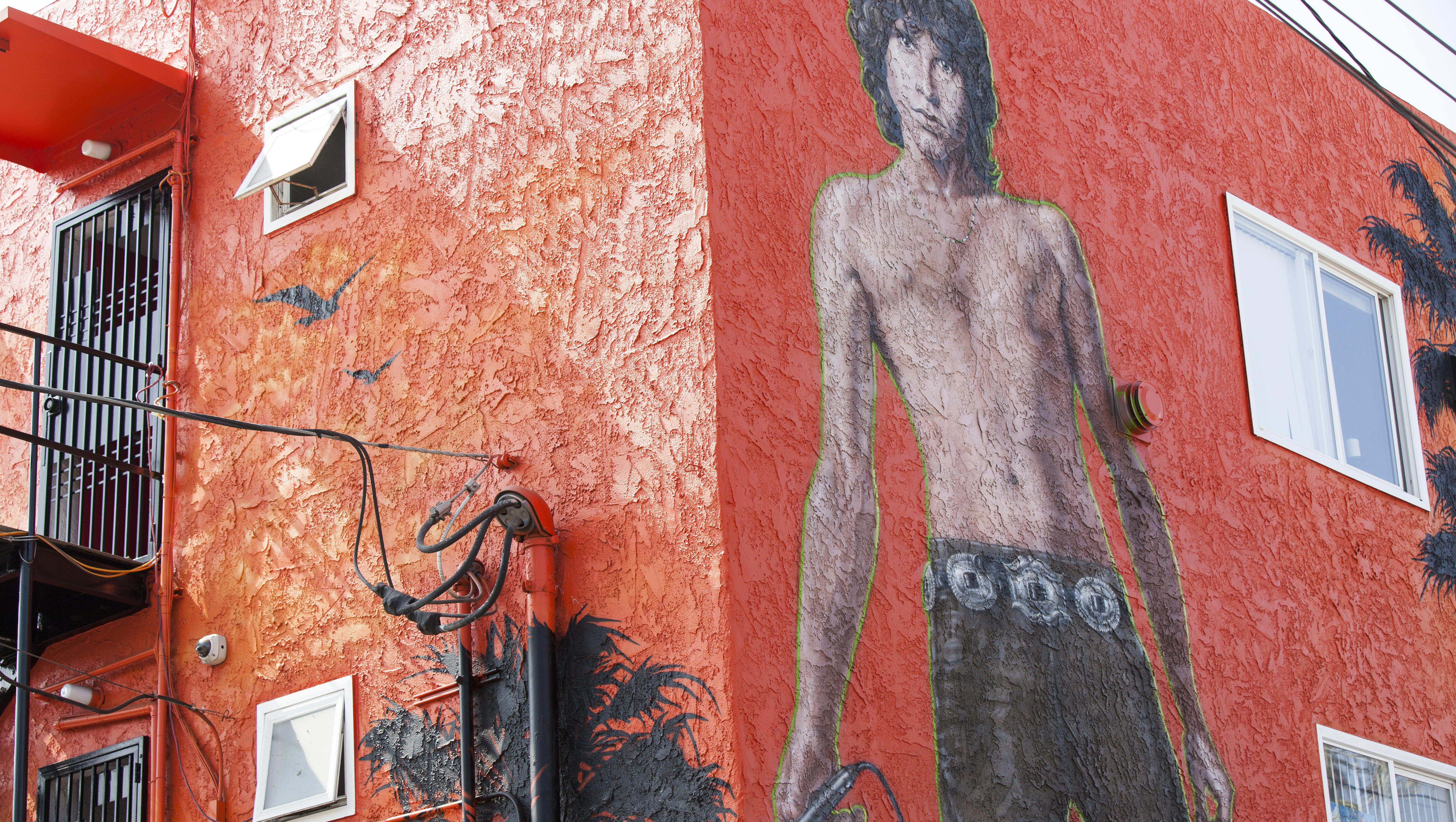 Jim Morrison, Mystic Visionary / Open Lines
