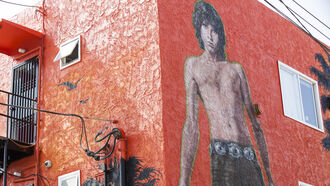 Jim Morrison, Mystic Visionary / Open Lines