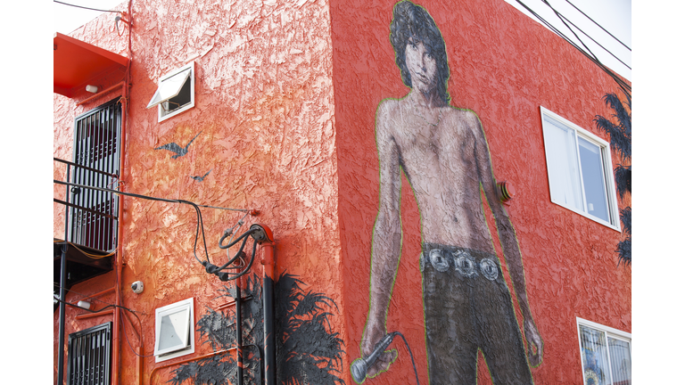 Jim Morrison, Mystic Visionary / Open Lines