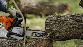 Omaha Adjusts Tree Debris Drop-Off Schedule