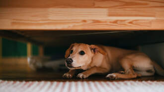 Happy National Horror Movie Day!