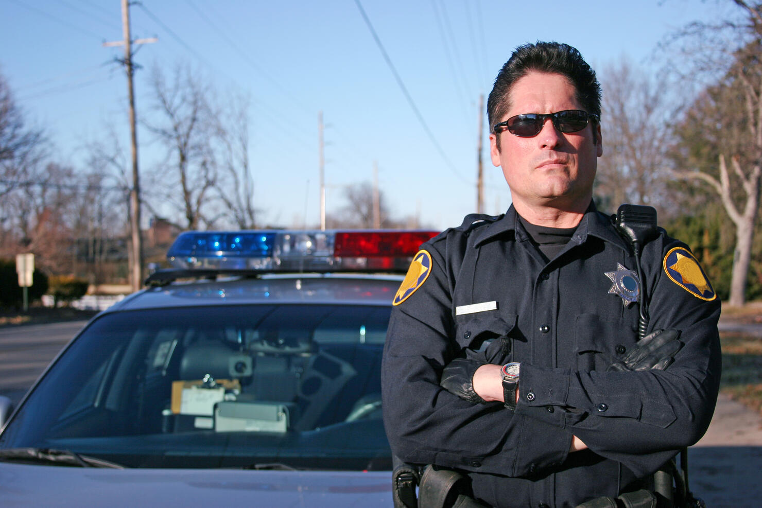 Police Officer with Squad Car
