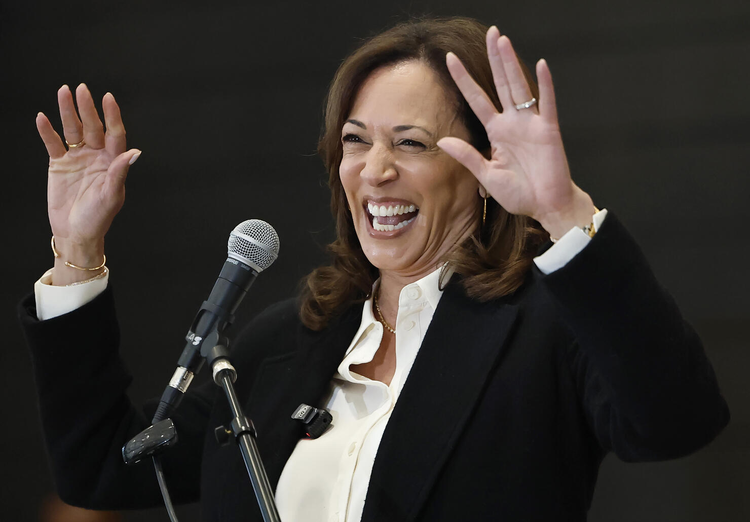 Former Vice President Kamala Harris Attends The State Of The People Power Tour In Los Angeles