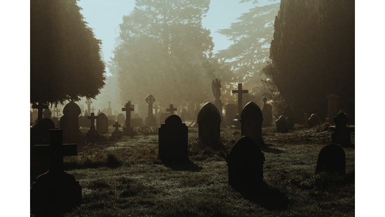 Hollow Earth Theory / Graveyard Stories