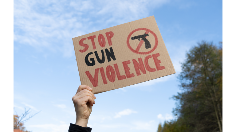 Stop Gun Violence placard sign at protest rally demonstration strike to ban weapons and end shooting.