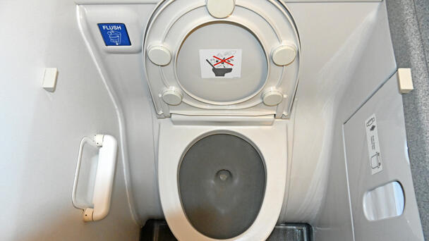 Flight Canceled Minutes Before Takeoff After Passenger's Action In Bathroom