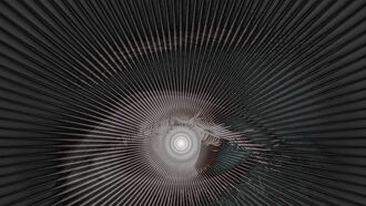 Crime & Gun Control / Remote Viewing Insights