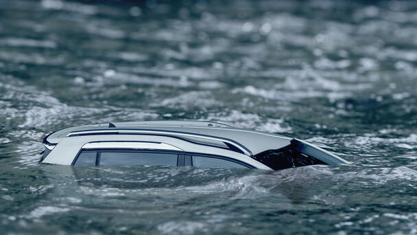 Good Samaritans Jump Into Water, Pull Ride-Share Driver From Sinking Car